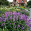 image (21)