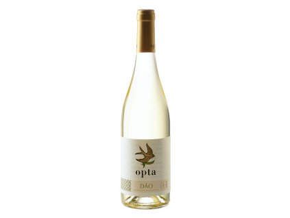 opta branco