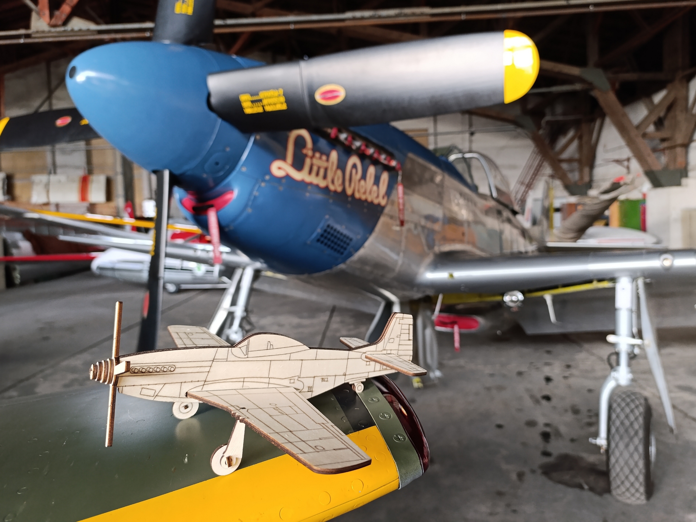P 51D
