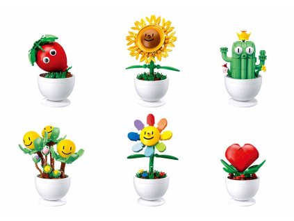 42062 sluban kvetiny s ocima display 6ks