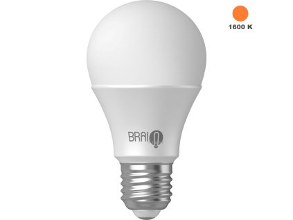 brainlight amber bulb