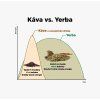 yerba a kava