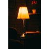 48997 5 zarovka brainlight amber bulb e27 7 w 1600 k