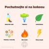 Pochutejte si na kokosu infografika brainmarket CZ