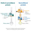Vyroba proteinu 1 bez pozadi cz