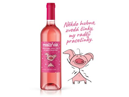 Někdo hubne, zvedá činky, my raději prasečinky  z čerstvých malin 11,5% obj