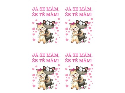 Snímek obrazovky 2025 05 15 124439