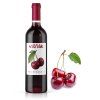 507x677 web visnak