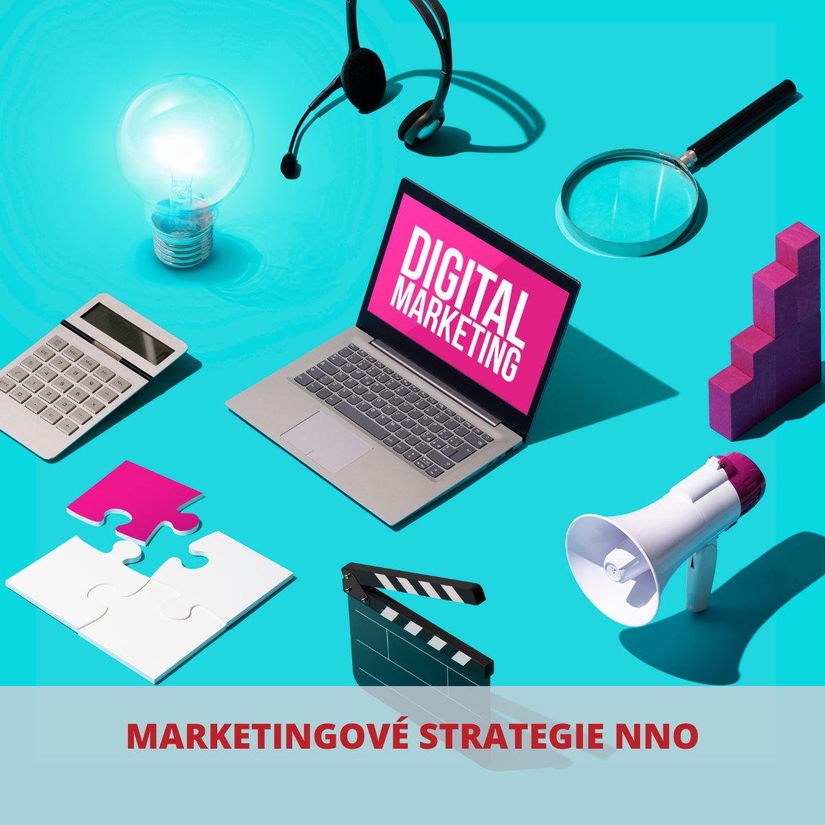 Marketingová strategie v neziskové organizaci