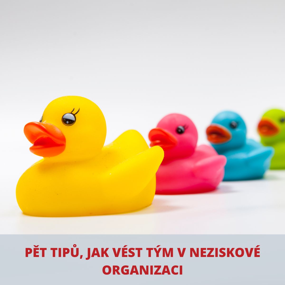 Pět tipů, jak vést tým v neziskové organizaci