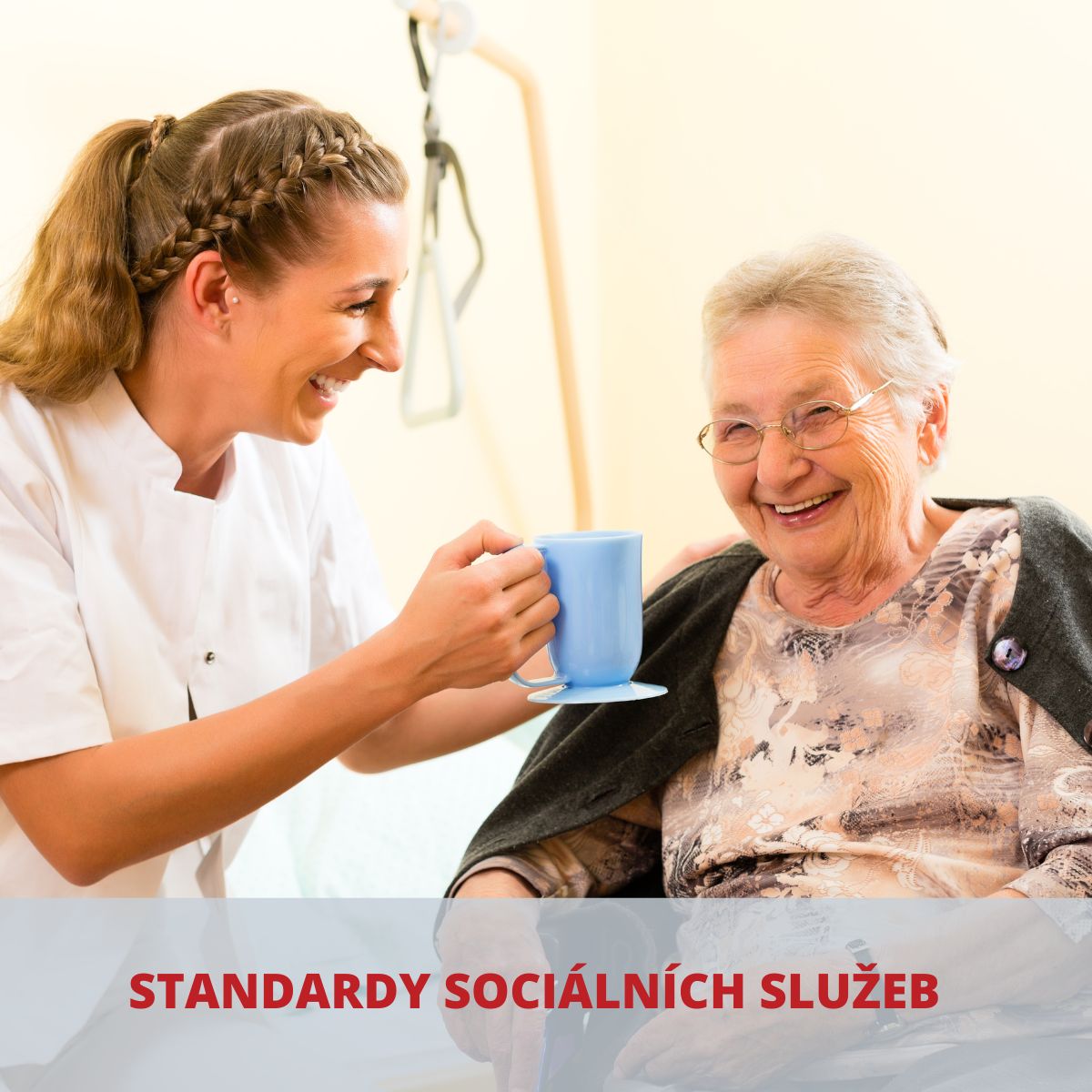 Standardy sociální služby jako užitečný pomocník v řízení kvality