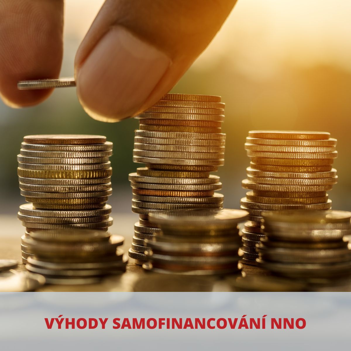 Výhody samofinancování NNO