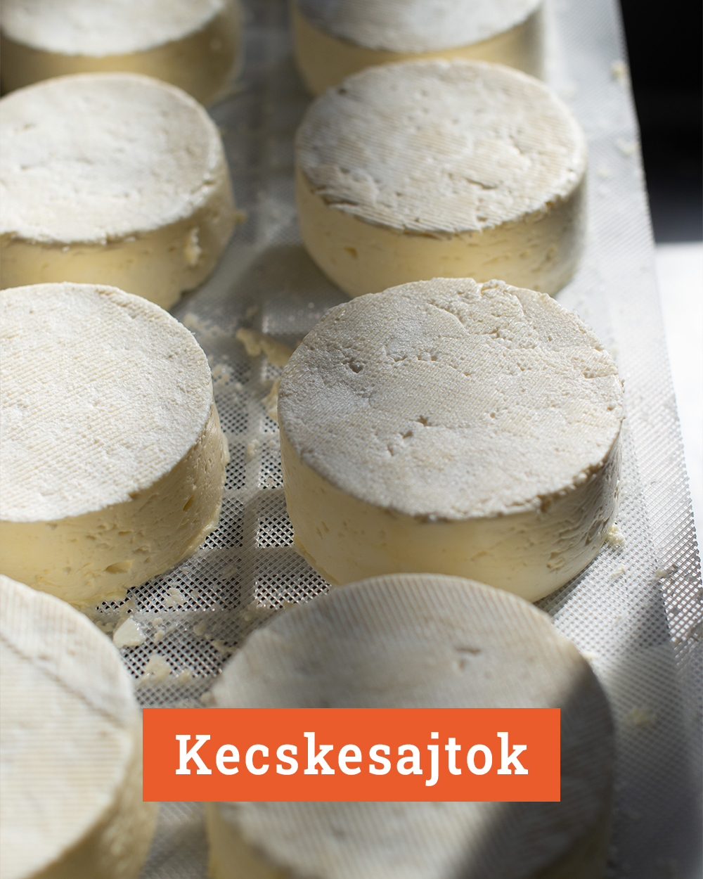 Kecskesajtok