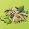prichut na web pistacie 1