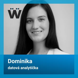 Dominika je naší skvělou datovou analytičkou. Zvládá propojení produktů levou zadní, vytváří a vylepšuje různé...