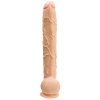 7295 9 docjohnson dick rambone