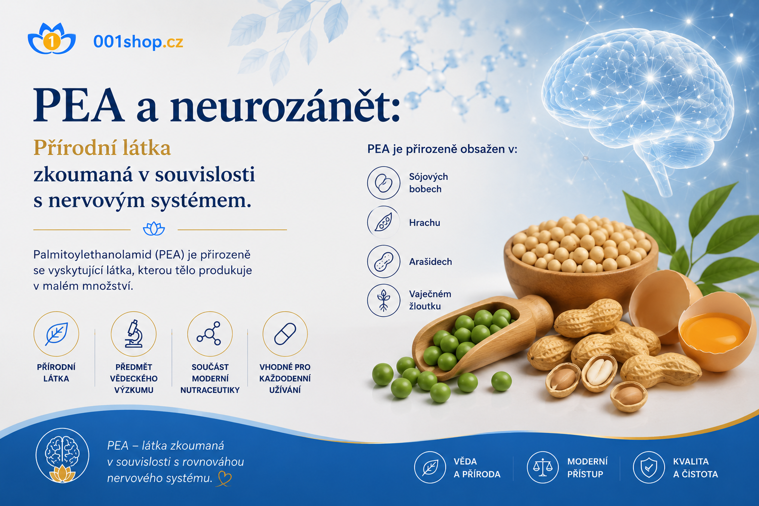 PEA a neurozánět: Může palmitoylethanolamid pomoci při únavě, mozkové mlze a dlouhodobých následcích zánětu?