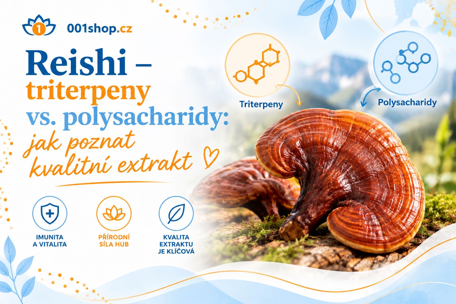 Reishi – triterpeny vs. polysacharidy: jak poznat kvalitní extrakt