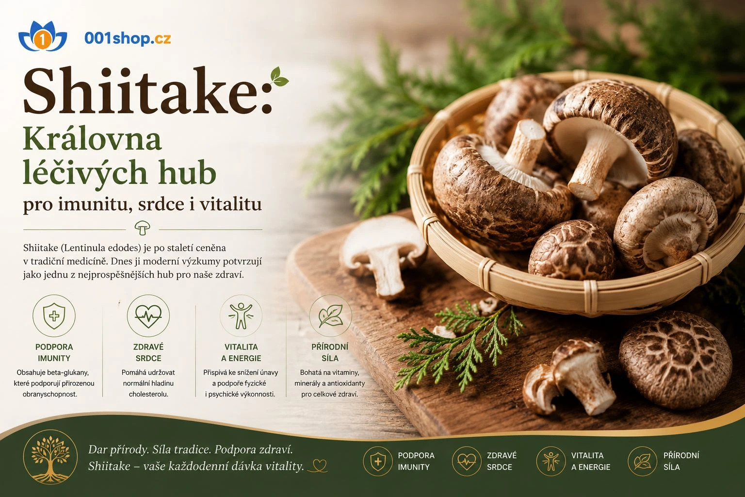 Doplňky stravy se shiitake - Srovnání - Výhody -Nevýhody