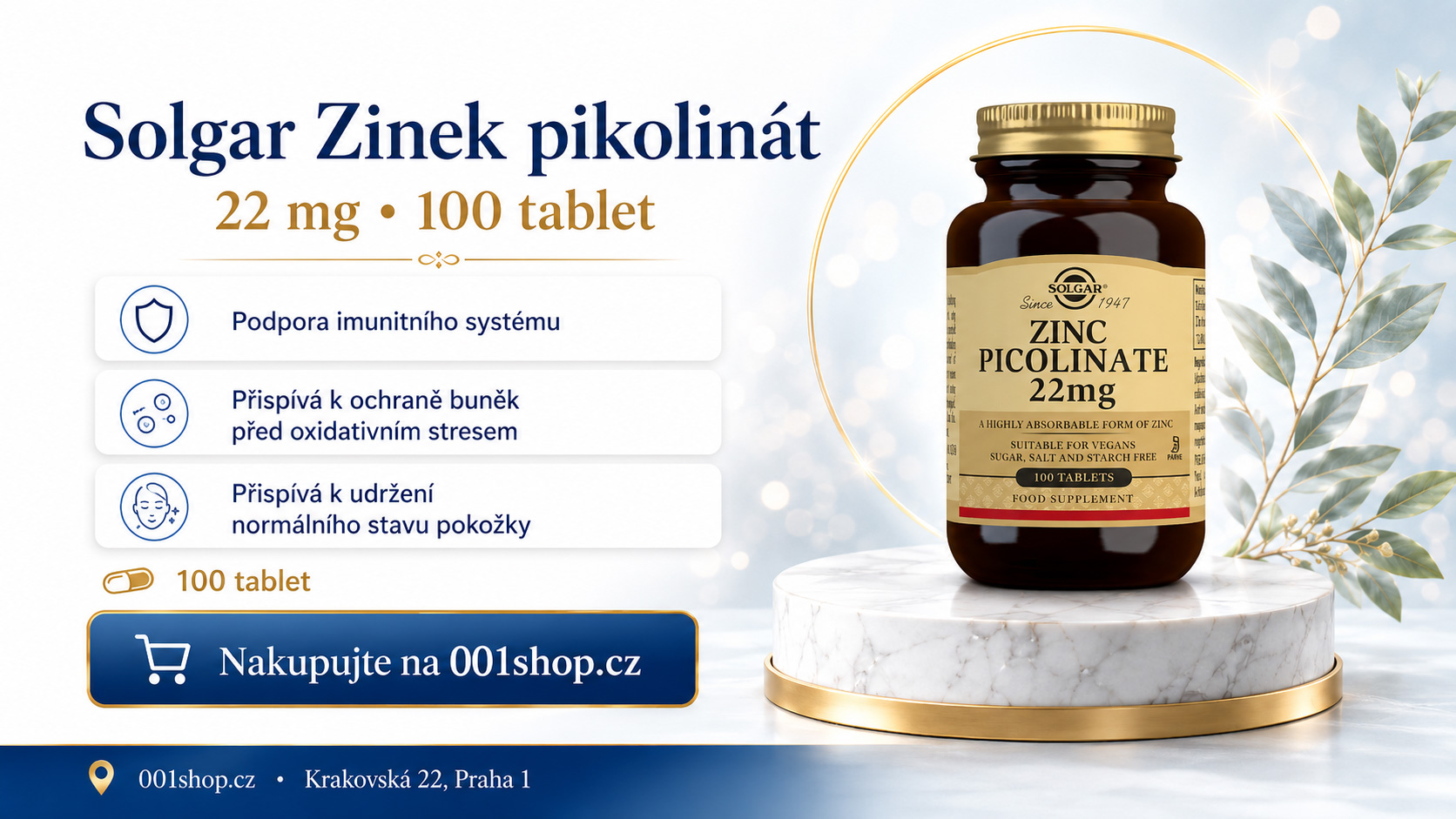 zinek100