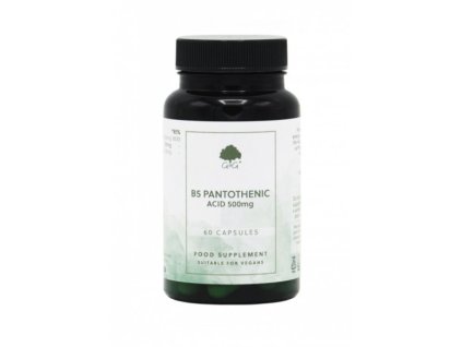 G&G Vitamins - Vitamin B5 500 mg-kyselina pantotenová - 60 veganských kapslí