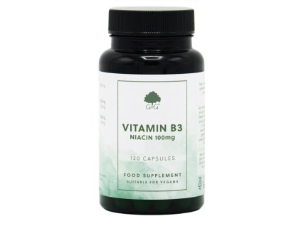 G&G Vitamins - VITAMÍN B3 Niacin 100 mg - 120 kapslí