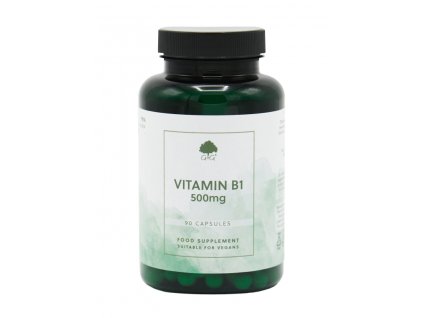 G&G Vitamins - VITAMÍN B1 Thiamin HCL 500 mg - 90 kapslí