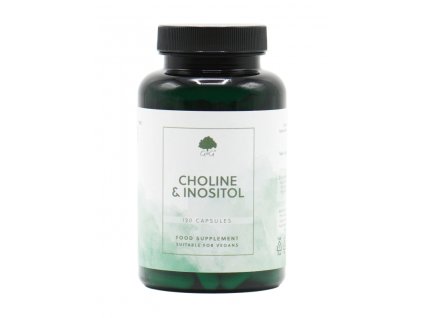 G&G Vitamins - CHOLIN & INOSITOL - 120 kapslí