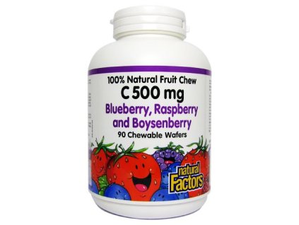 Natural Factors VITAMÍN C 500mg 90 cucavých tablet