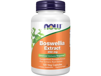 NOW Foods Boswellia Extract Plus