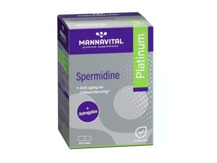spermidine