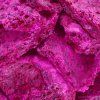 Exotisches Pitaya – gefriergetrocknete Scheiben, gefriergetrocknete Früchte – 50 g