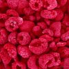 BEAUTIFULLY RIPE RASPBERRIES - freeze-dried