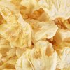 TROPICAL PINEAPPLE | freeze-dried pieces