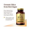 Solgar Oceanic Silica 25 mg 100 Kapseln