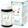 Diochi Alfa artrizone 90 gélules
