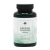 G&G Vitamins - SIBIŘSKÝ ŽENŠEN 400 mg - 120 kapslí