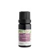 Nobilis - Amestec de uleiuri esențiale Tantra 10 ml - REDUCERE