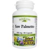 Natural Factors SAW PALMETTO 500mg 90cps