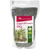 Bio brokoli - semena za kalitev 200 g