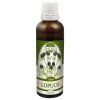 Klettenwurzel-Kräuterextrakt 50 ml