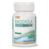 Rhodiola Bio essence (60 kapslí) - doplněk stravy - EXP 27.2.26