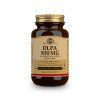 Solgar DLPA 500 mg 50 kapszula