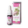 fin Candimis - ulei de oregano 10 ml cu pipetă