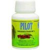 PILOT - Schizandra chinensis - 100 tabletek - WYPRZEDAŻ MAGAZYNU