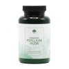 G&G Vitamins - BIO PSYLLIUM Husk - 100 g prášek - DMS 3/25