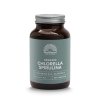 MT2203 V5 Mattisson Organic Chlorella Spirulina 65x188 v5