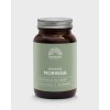 mattisson organic moringa