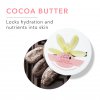 1BWBBVB Whipped Body Butter Vanilla Bean Key Ingredients