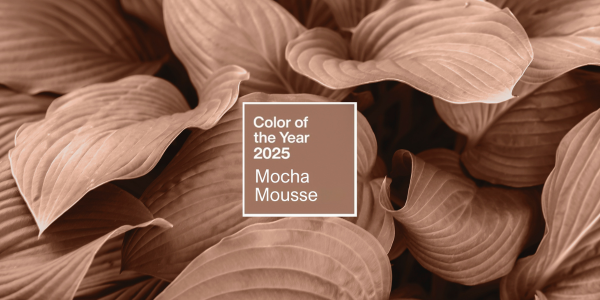 Ve znamení kávy. Pantone vyhlásilo barvu roku 2025